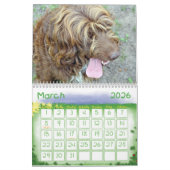 gezelschapsdieren 2012 kalender (Mar 2026)