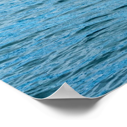 Gezelschapsdieren en andere dieren - Walvisvinnen Poster (Hoek)