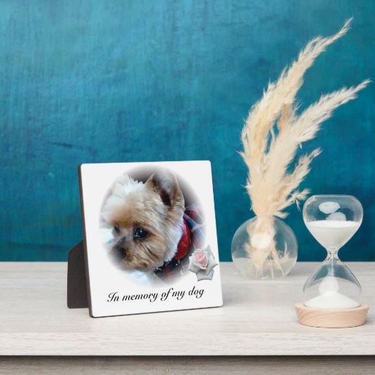 Gezelschapsdieren Fotoplaat (Insitu)