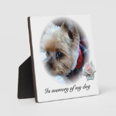 Gezelschapsdieren Fotoplaat (Voorkant)