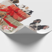 Gezelschapsdieren in kerstcadeaupapier voor kerstm cadeaupapier (Hoek)