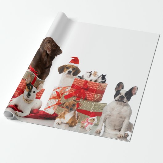 Gezelschapsdieren in kerstcadeaupapier voor kerstm cadeaupapier (Uitgerold)
