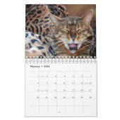Gezelschapsdieren Kalender (Feb 2026)
