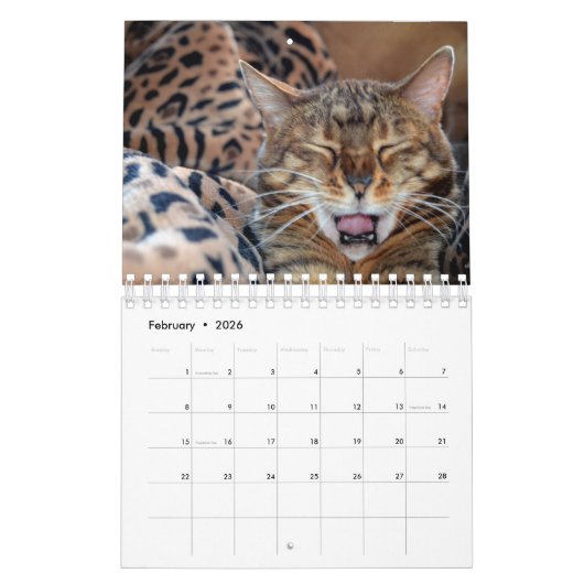 Gezelschapsdieren Kalender (Feb 2026)