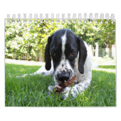 Gezelschapsdieren Kalender (Hoes)