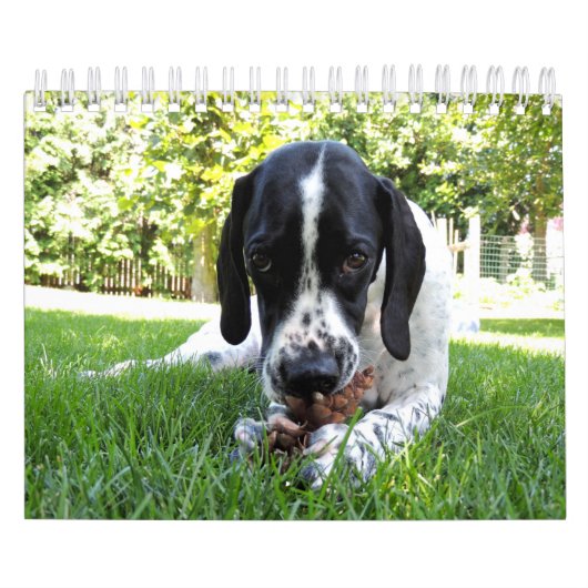 Gezelschapsdieren Kalender (Hoes)