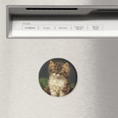 gezelschapsdieren, kutstripper, kat Kitten Magneet (Insitu (Vaatwasser))