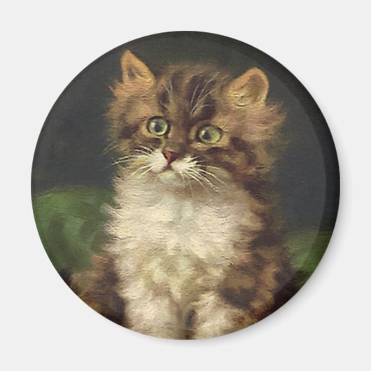 gezelschapsdieren, kutstripper, kat Kitten Magneet (Voorkant)