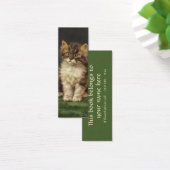  gezelschapsdieren, kutstripper, kat Kitten Mini Visitekaartjes (Bureau)