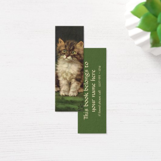 gezelschapsdieren, kutstripper, kat Kitten Mini Visitekaartjes (Bureau)