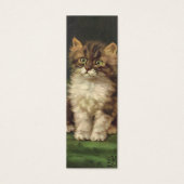  gezelschapsdieren, kutstripper, kat Kitten Mini Visitekaartjes (Voorkant)
