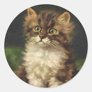  gezelschapsdieren, kutstripper, kat Kitten Ronde Sticker