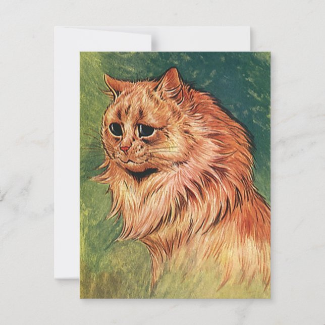  gezelschapsdieren, langgehakt Oranje katat (Voorkant)