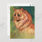 gezelschapsdieren, langgehakt Oranje katat Briefkaart (Voorkant / Achterkant)