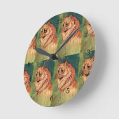  gezelschapsdieren, langgehakt Oranje katat Ronde Klok (Hoek)