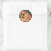  gezelschapsdieren, langgehakt Oranje katat Ronde Sticker (Tas)