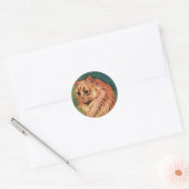  gezelschapsdieren, langgehakt Oranje katat Ronde Sticker (Envelop)