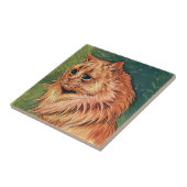 gezelschapsdieren, langgehakt Oranje katat Tegeltje (Zijkant)