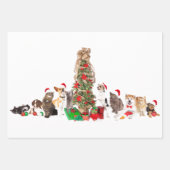 Gezelschapsdieren met papierplatte vellen pannen m (Voorkant 3)