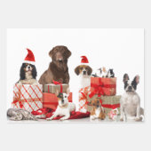 Gezelschapsdieren met papierplatte vellen pannen m (Voorkant)