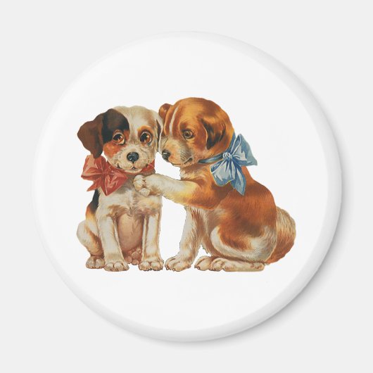 gezelschapsdieren, papaverliefdesPuppies met boge Magneet (Voorkant)