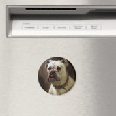  gezelschapsdieren, portret van boxer-puppy Dog Magneet (Insitu (Vaatwasser))