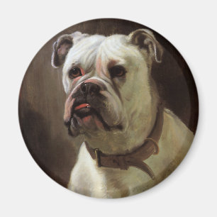 gezelschapsdieren, portret van boxer-puppy Dog Magneet