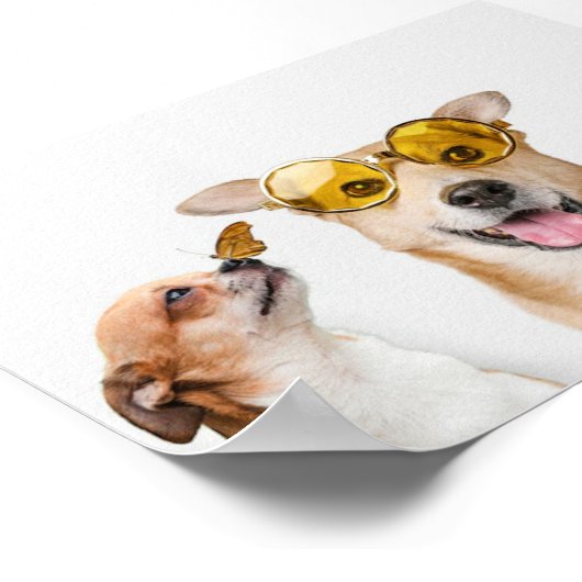 Gezelschapsdieren Poster (Hoek)