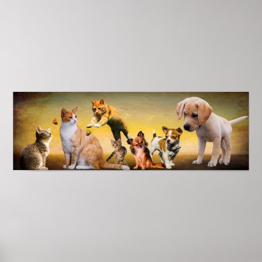 Gezelschapsdieren Poster (Voorkant)
