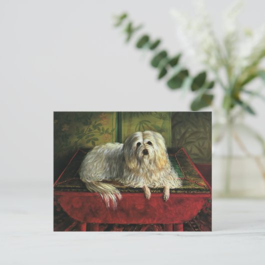  gezelschapsdieren, shaggy Sheepdog Dog Briefkaart (Staand voorkant)