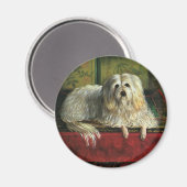 gezelschapsdieren, shaggy Sheepdog Dog Magneet (Voorkant / Achterkant)