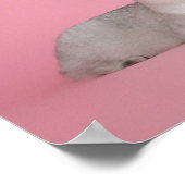 Gezelschapsdieren zijn bundels van liefde / / / ka poster (Hoek)