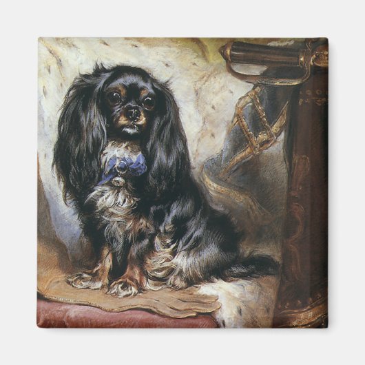  gezelschapsdieren, zwarte Speelgoed spaniel Puppy Magneet (Voorkant)