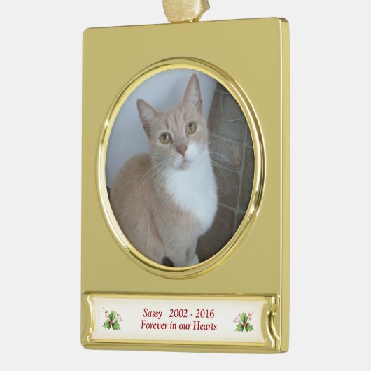 Gezelschapsfoto Dates Memorial Verguld Banner Ornament (Links)