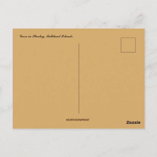 Gezen op de Stanley Falkland Islands Briefkaart (Achterkant)