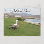 Gezen op de Stanley Falkland Islands Briefkaart (Voorkant)