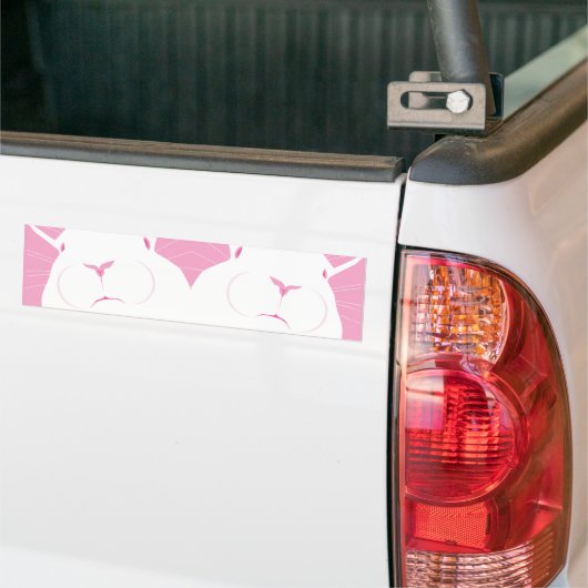 GEZICHT 2 BUMPERSTICKER (Op Truck)
