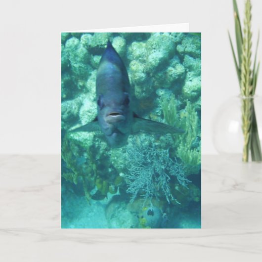 Gezicht-aan-vissen Kaart (Voorkant)