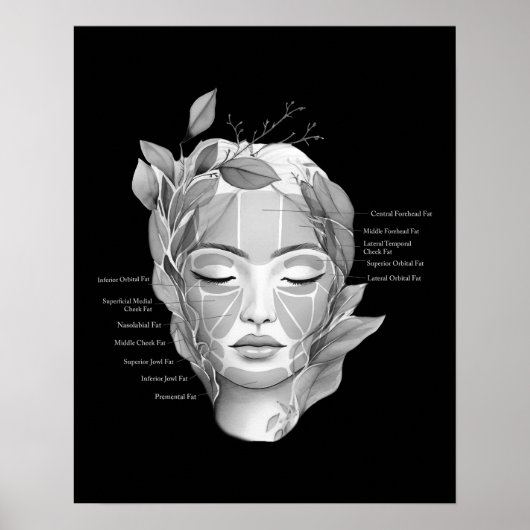 Gezicht Anatomie Facial Fat Pad Schoonheidsspecial Poster (Voorkant)