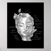 Gezicht Anatomie Gezichtsspieren Med Spa Decor Poster (Voorkant)
