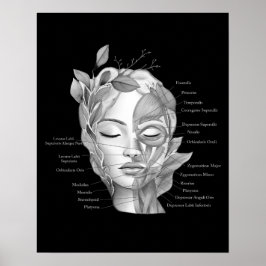 Gezicht Anatomie Gezichtsspieren Med Spa Decor Poster
