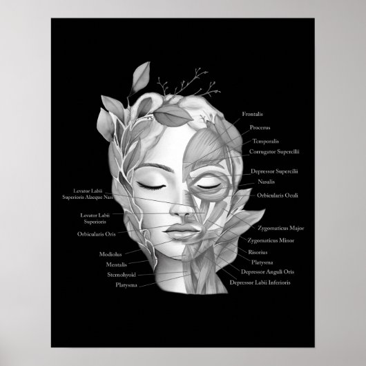 Gezicht Anatomie Gezichtsspieren Med Spa Decor Poster (Voorkant)