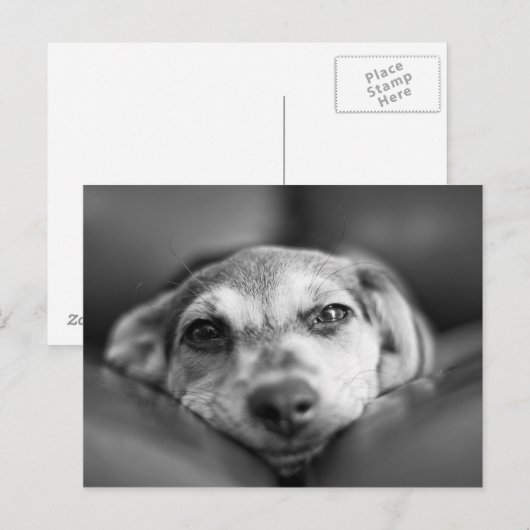 Gezicht naar gezicht briefkaart (Voorkant / Achterkant)