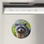 Gezicht naar gezicht met een Raccoon Magneet (Insitu (Vaatwasser))