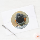 Gezicht naar gezicht met een Spotted Towee Ronde Sticker (Envelop)