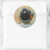 Gezicht naar gezicht met een Spotted Towee Ronde Sticker (Tas)