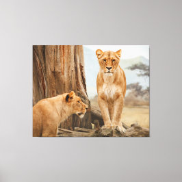 Gezicht naar gezicht met Lions Canvas Art Afdruk