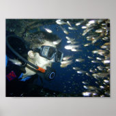 Gezicht naar gezicht poster (Voorkant)