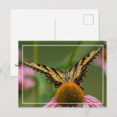 Gezicht naar gezichtsvlinder briefkaart (Voorkant / Achterkant)