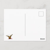 Gezicht naar gezichtsvlinder briefkaart (Achterkant)